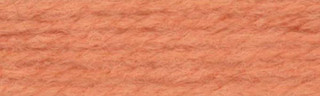 Herrschners Plastic Canvas Craft Yarn 10 Yard Hank - Variant Image Light Terra Cotta