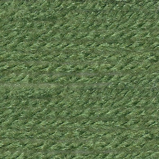 Herrschners Plastic Canvas Craft Yarn 10 Yard Hank - Variant Image Sage