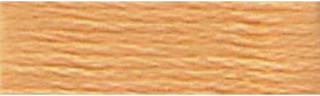 Craftways Embroidery Floss - Variant Image Very Light Bronze Brown