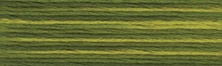 DMC Color Variations Embroidery Floss - Variant Image Amazon Moss