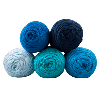 Caron Simply Soft Yarn Pack - Variant Image Frozen Tundra