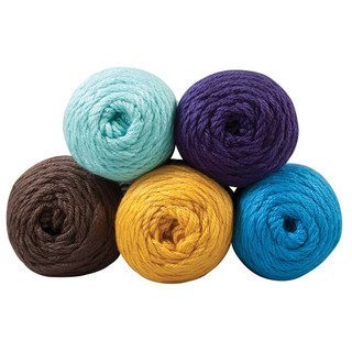Caron Simply Soft Yarn Pack - Variant Image Modern