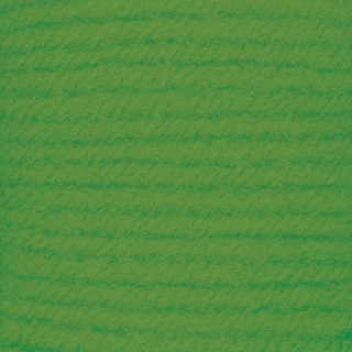 Herrschners Plastic Canvas Craft Yarn 10 Yard Hank - Variant Image Bright Green