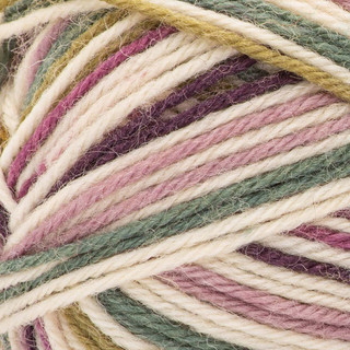 Patons Kroy Socks Yarn - Variant Image Midnight Orchid