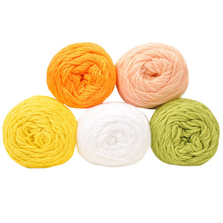 Caron Simply Soft Yarn Pack - Variant Image Citrus Goodness