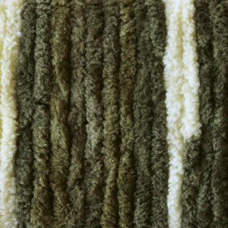 Bernat Blanket 10.5oz—Bag of 2 Yarn Pack - Variant Image Gathering Moss
