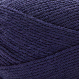 Premier Cotton Sprout Worsted Yarn - Variant Image Navy