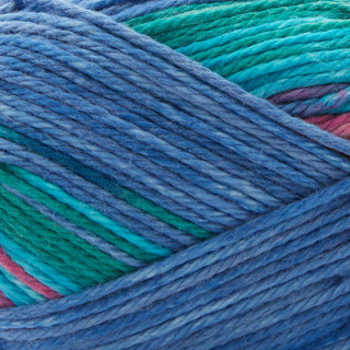 Premier Cotton Sprout Worsted Yarn - Variant Image Luau