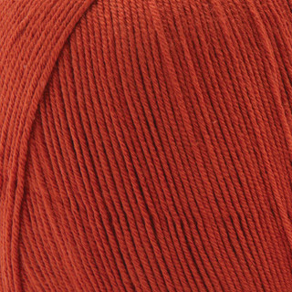 Premier Mesh Bag Crochet Kit - Variant Image Spice