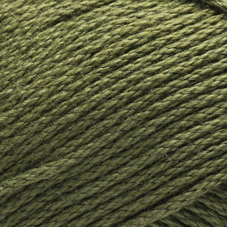 Caron All Day Cotton Yarn - Variant Image Moss