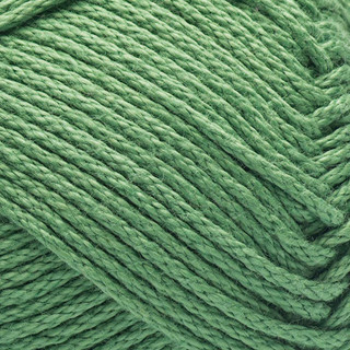 Caron All Day Cotton Yarn - Variant Image Grass Green