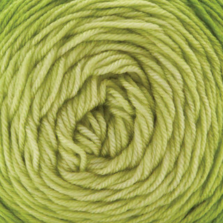 Premier Everyday Worsted Gradient Yarn - Variant Image Green Tones