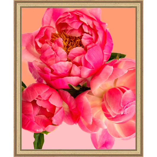 Pink Picasso Perfect Petals Paint-by-Number Kit