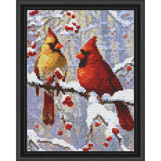 PixelHobby Winter Birds Kit & Frame Mosaic Art Kit