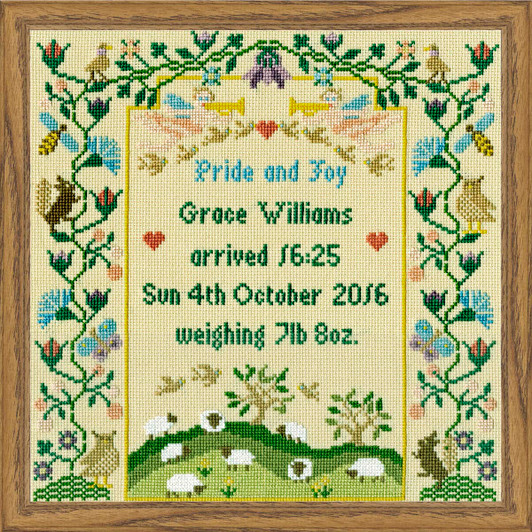 Bothy Threads Pride & Joy Counted Cross-Stitch Kit