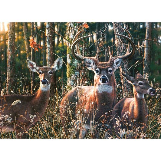 Willow Creek Press Woodlands Shadow Jigsaw Puzzle