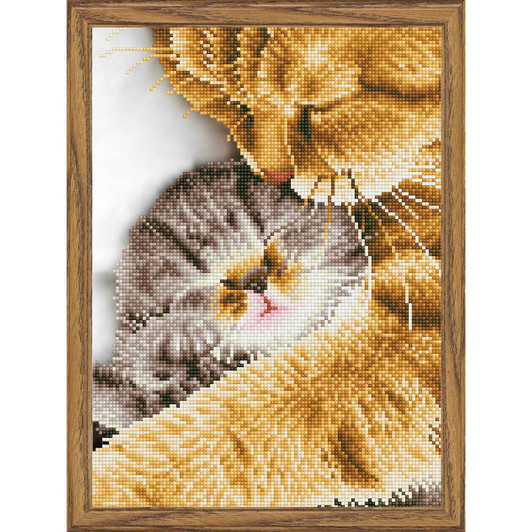 Diamond Dotz Tender Moment Diamond Painting Diamond Dotz Tender Moment Diamond Painting