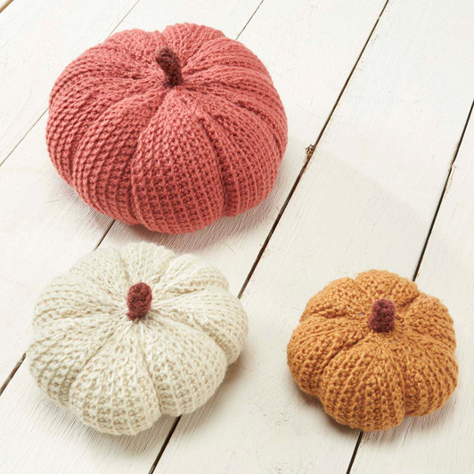 Harvest Pumpkins Free Download Harvest Pumpkins Free Download
