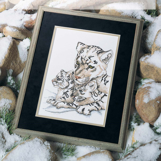 Safe Haven Paid Download