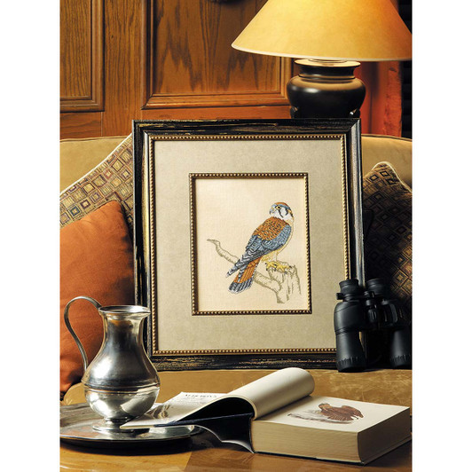 American Kestrel Paid Download