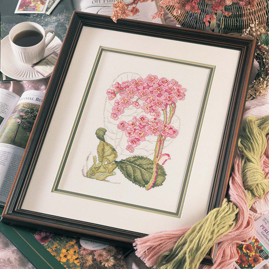 Bergenia Paid Download Bergenia Paid Download