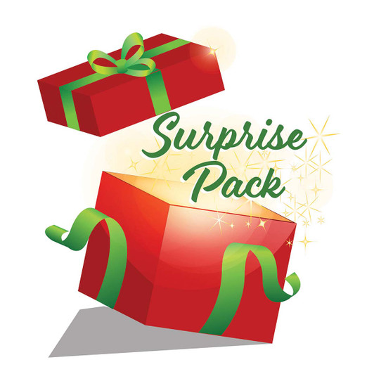 Herrschners Christmas Surprise Pack Craft Kit Herrschners Christmas Surprise Pack Craft Kit