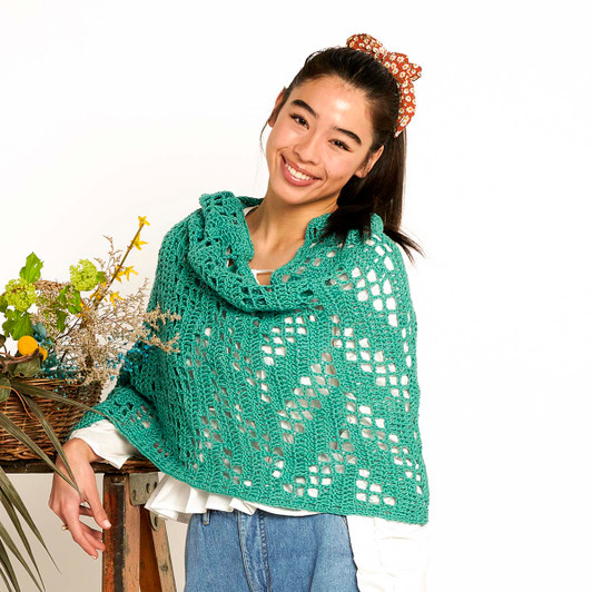 Bernat Zig Zagging Filet Shawl Crochet Kit Bernat Zig Zagging Filet Shawl Crochet Kit
