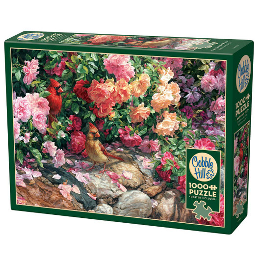Qilmy 1000-Piece Math Formula Jigsaw Puzzle - Landscape, Funny Doodle Art For Adults & Family
