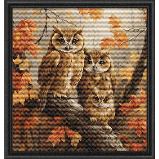 Luca-S The Owls Family Kit & Frame Counted Cross-Stitch Luca-S The Owls Family Kit & Frame Counted Cross-Stitch