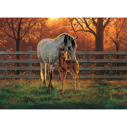 Cobble Hill Quiet Time Jigsaw Puzzle