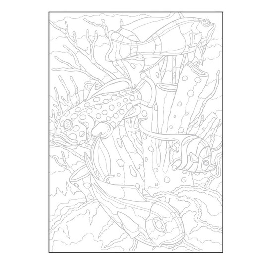 Dover Sea Life Color by Number Coloring Book Dover Sea Life Color by Number Coloring Book