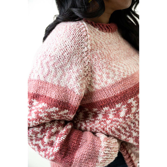 Lion Brand Cosmo Raglan Pullover Knit Kit Lion Brand Cosmo Raglan Pullover Knit Kit