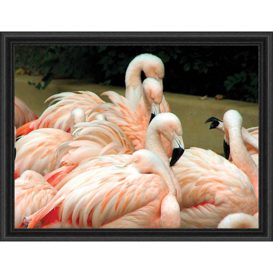 Sunrays Creations Needlearts Flamingos Chart & Fabric Counted Cross-Stitch Sunrays Creations Needlearts Flamingos Chart & Fabric Counted Cross-Stitch