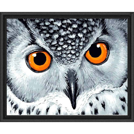 Adbrain Owl Eyes Paint by Number Kit Adbrain Owl Eyes Paint by Number Kit