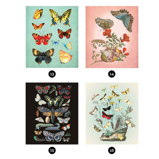 Brain Games Vintage Butterflies Sticker by Number