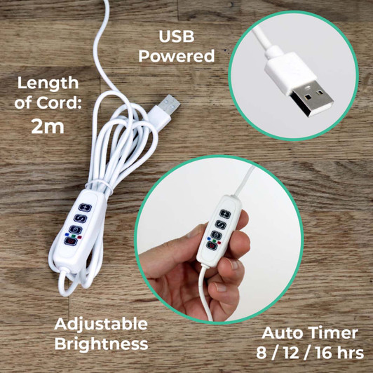 Tiny Treehouses Island Cabana with Glow Light Treehouse Model - Wood