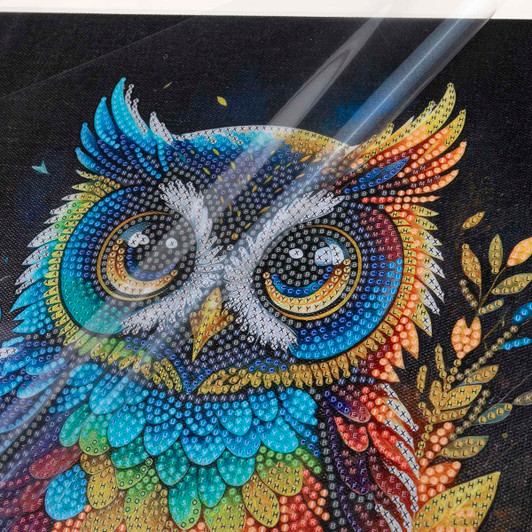 Craft Buddy Owl Diamond Painting
