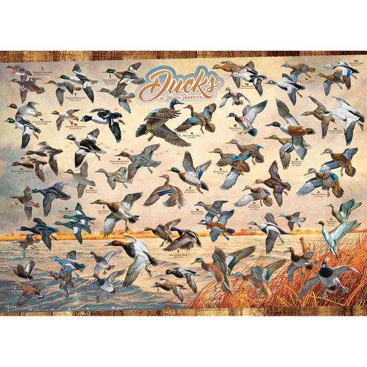 Cobble Hill Ducks of North America Jigsaw Puzzle