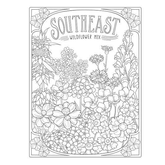 Dover Wildflowers Coloring Book