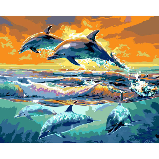 Figured Art  Dolphins Paint by Number Kit