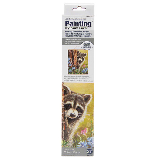 Royal Brush Secret Admirer Scroll Paint by Number Kit