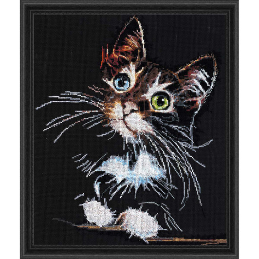 Abris Art Kit & Frame Fluffy Kitten CCS