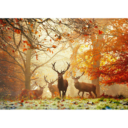 Heye  Magic Forests, Stags Jigsaw Puzzle