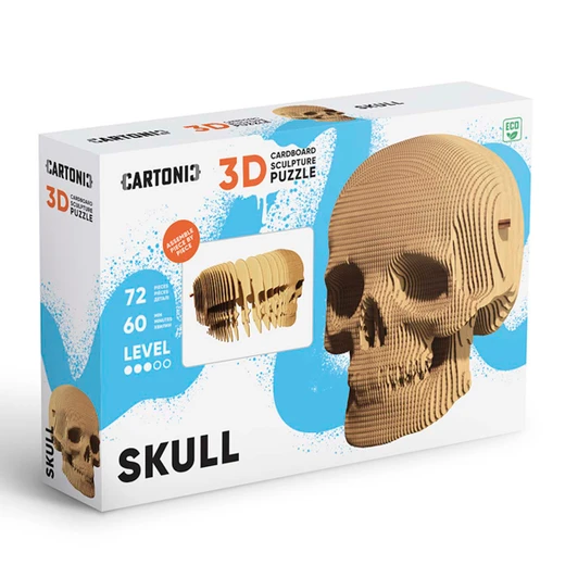 Cartonic Skull Model