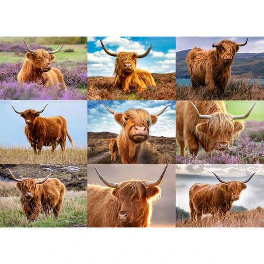 Willow Creek Press Highland Cows Jigsaw Puzzle
