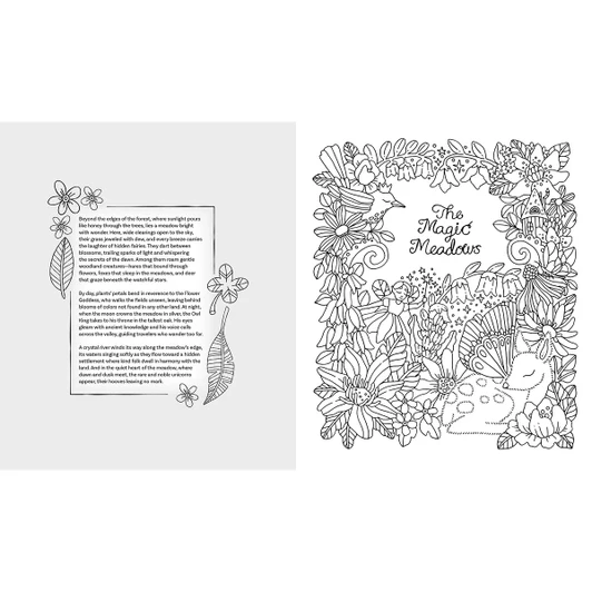 Schiffer Publishing Fantasy World Coloring Book
