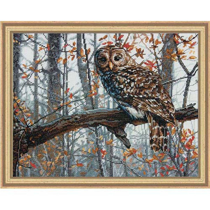 Dimensions Wise Owl Counted Cross-Stitch Kit