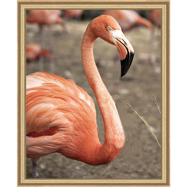 Pink Picasso Frannie Flamingo Kit & Frame Paint by Number Kit