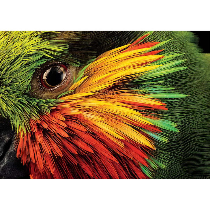 Buffalo Games Edward's Fig Parrot Jigsaw Puzzle