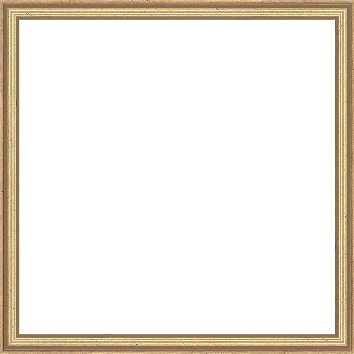 Herrschners Gold 12 x 12"(30 x 30cm) Sectional Frame